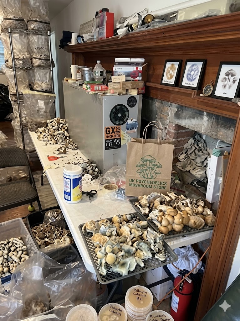 UK PSYCHEDELICS MUSHROOM SHOP LONDON