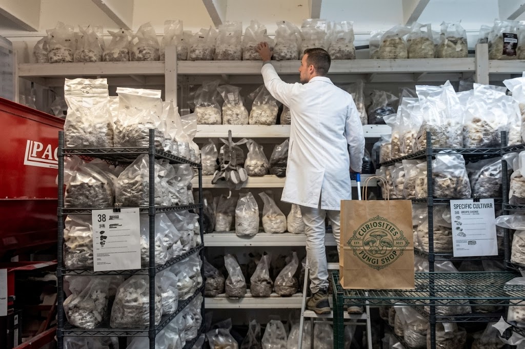 UK PSYCHEDELICS SHOP