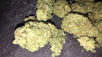Buy White Widow Weed UK Buy White Widow Weed UK