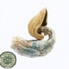 Blue Goba Magic Mushroom For Sale UK