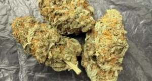 Buy Alien Dawg UK Buy Alien Dawg UK