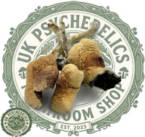 Buy Amazonian Cubensis Buy Amazonian Cubensis