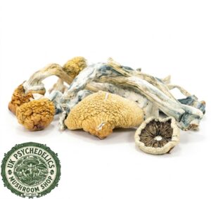 Buy Blue Meanies Mushrooms
