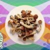 Buy Copelandia Mushrooms UK Buy Copelandia Mushrooms UK
