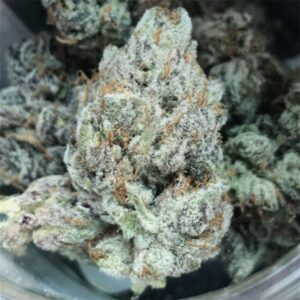 Buy Gelato Weed UK