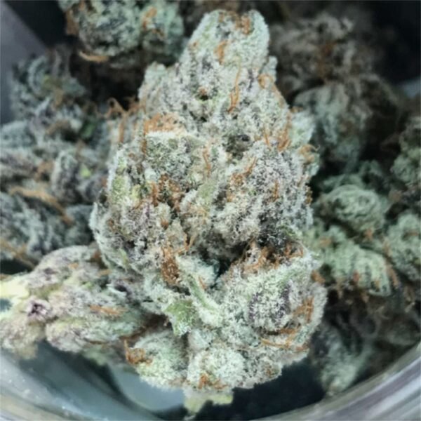 Buy Gelato Weed UK Buy Gelato Weed UK
