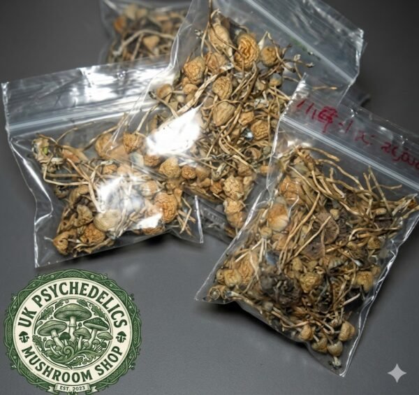 Buy Liberty Caps Online UK Buy Liberty Caps Online UK