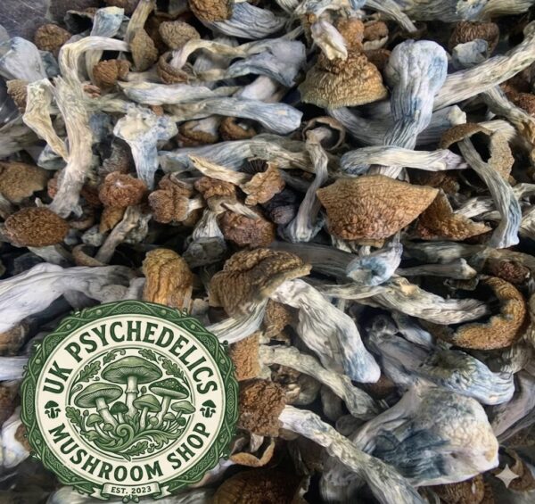 Buy Magic Mushrooms Online
