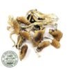 Buy Mexicana Mushroom UK
