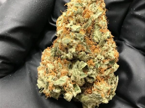 Buy Purple Cookie Dawg UK Buy Purple Cookie Dawg UK