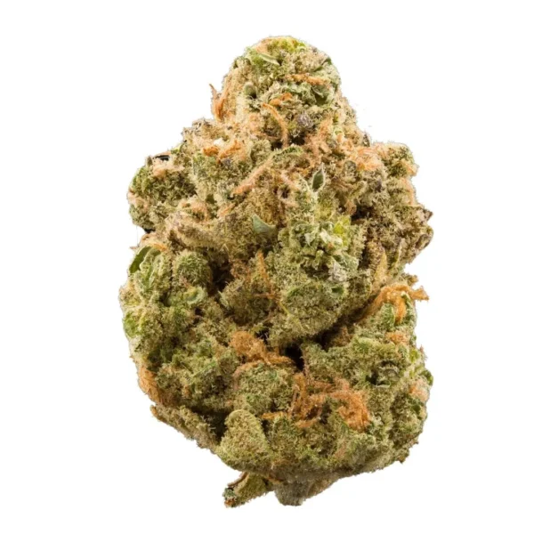 Buy Stardawg UK Buy Stardawg UK