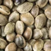 Buy UK Cheese Seeds Online