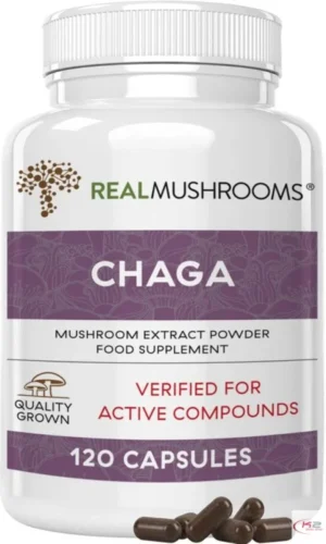 Chaga Extract – 120 Capsules Chaga Extract – 120 Capsules