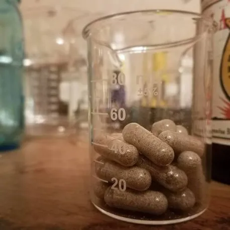 GOLDEN TEACHER MUSHROOM CAPSULES GOLDEN TEACHER MUSHROOM CAPSULES