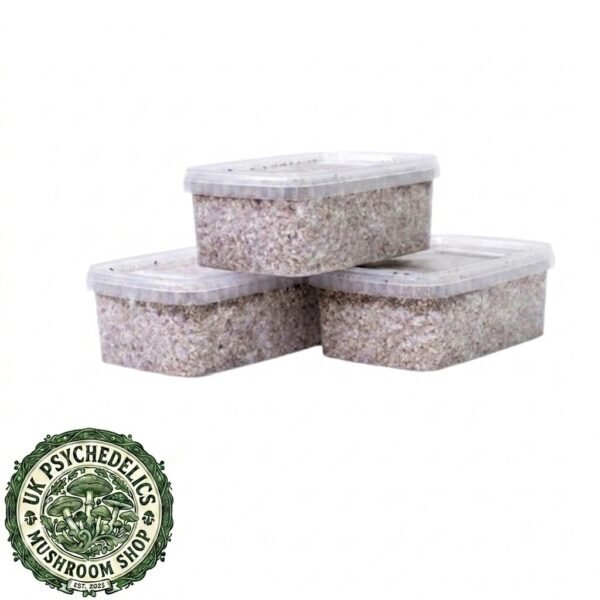 Grow Kit – Bulk Deal – S Grow Kit – Bulk Deal – S