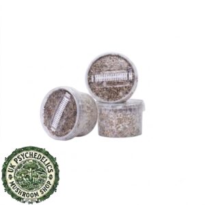 Grow Kit – Bulk Deal – XS Grow Kit – Bulk Deal – XS