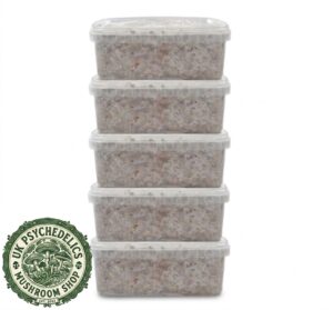 Magic Mushroom Grow kits