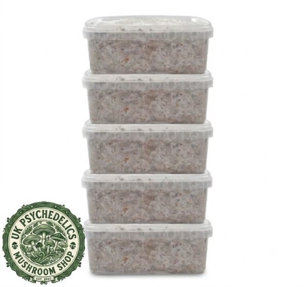Magic Mushroom Grow kits Magic Mushroom Grow kits
