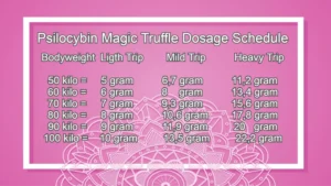 Magic Truffles Dosage Schedule