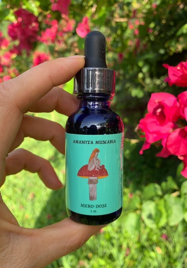red cap mushroom microdose 1 oz red cap mushroom microdose 1 oz